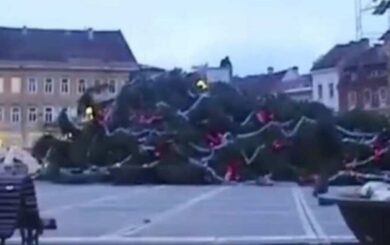 29-метрова новорічна ялинка впала в Румунії: опора не витримала вітру