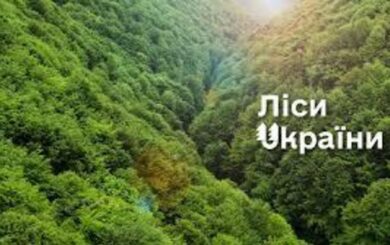 Влада переглядає кадрові рішення у лісовій галузі: обговорили зміни в ”Лісах України”