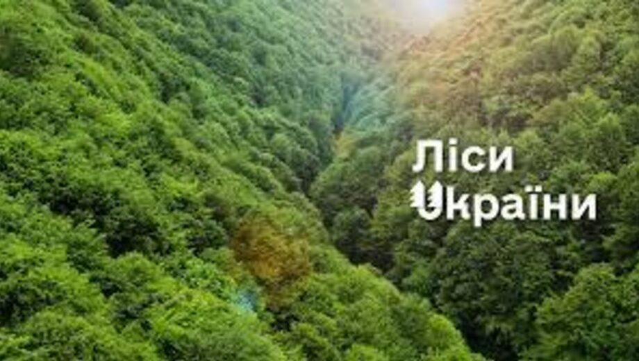 Влада переглядає кадрові рішення у лісовій галузі: обговорили зміни в ”Лісах України”
