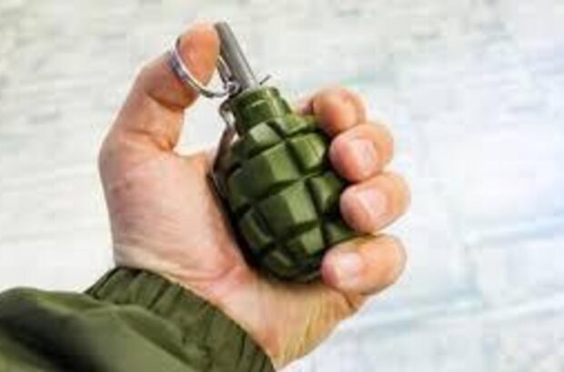 Суд вынес приговор мужчине, который бросил гранату в милицию в Броварах