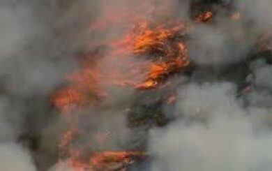 У Польщі масштабна лісова пожежа: загинув пілот гелікоптера під час гасіння