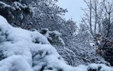 Синоптики предупреждают: ненастье в Украине 4 января