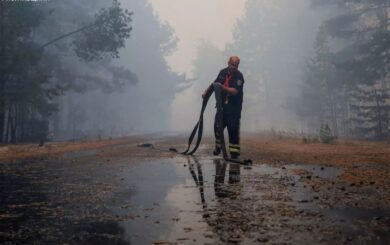 Масштабна пожежа у Полтавській області: рятувальники борються з вогнем на площі 50 гектарів