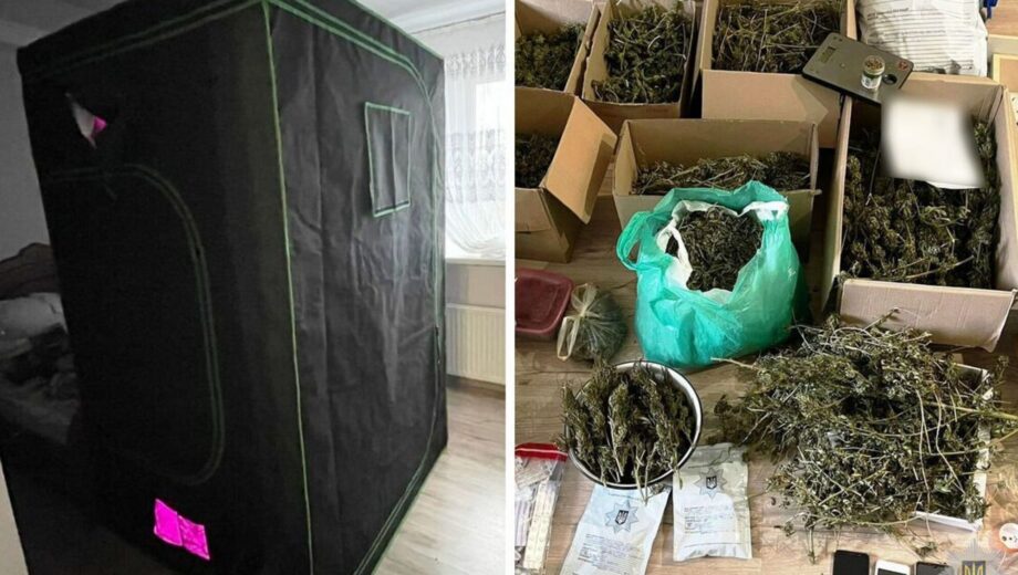 Выращивал в домашней теплице коноплю »элитных сортов»: в Винницкой области задержали мужчину с наркотой на 8 млн грн
