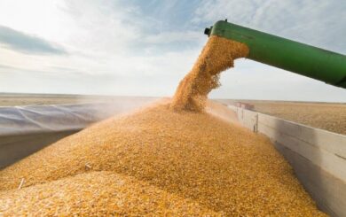 З 1 квітня Польща зупиняє транзит української агропродукції, — міністр розвитку та технологій країни