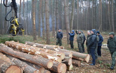 В Ровенской области государственный лесхоз приобрел автомобиль для руководителя за 1,5 млн грн, – СМИ