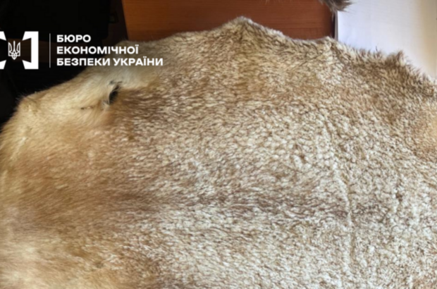 На Закарпатті судитимуть керівника підприємства за контрабанду хутра на понад 11 млн грн