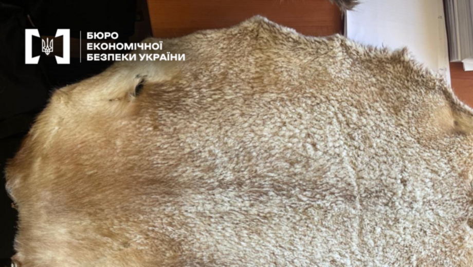 На Закарпатті судитимуть керівника підприємства за контрабанду хутра на понад 11 млн грн