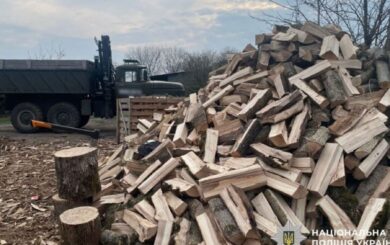Полиция Полтавщины разоблачила незаконную порубку деревьев на 160 тыс. грн