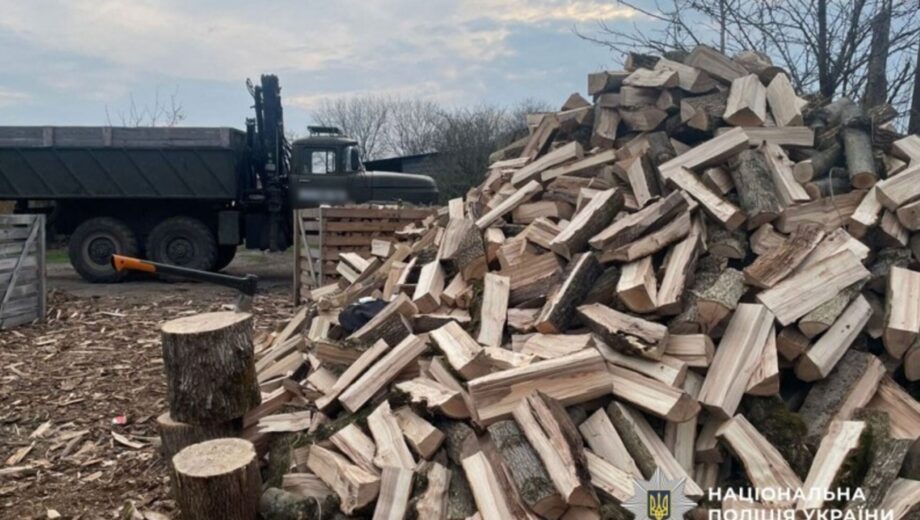Полиция Полтавщины разоблачила незаконную порубку деревьев на 160 тыс. грн