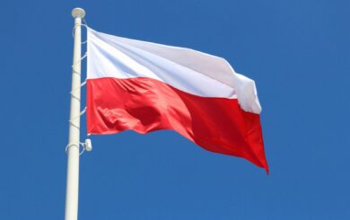 Более 400 тысяч украинских мужчин работают в Польше