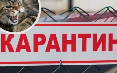 Сказ у Конча-Заспі: у Голосіївському районі запровадили карантин