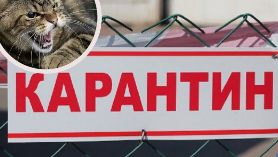 Сказ у Конча-Заспі: у Голосіївському районі запровадили карантин