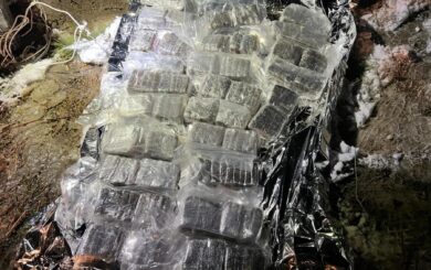 Прикордонники та СБУ збили квадрокоптер із наркотиками на Волині