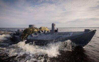 Дроны »Sea Baby» поразили четыре российских корабля благодаря дистанционному минированию, — WSJ