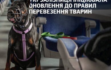 Укрзалізниця впроваджує нові правила перевезення тварин: що зміниться