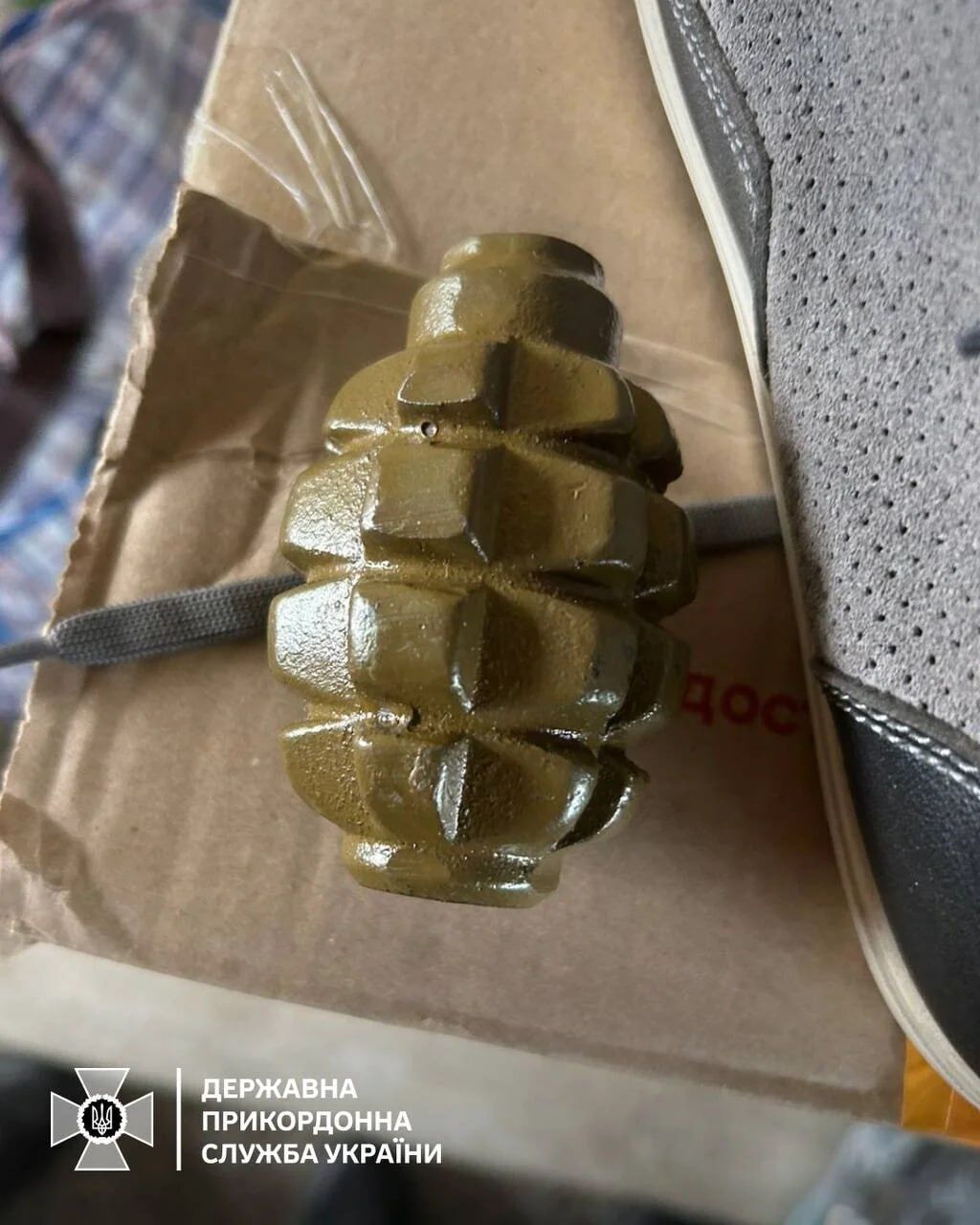 На границе с Венгрией задержали девушку, которая хотела уехать с боевой гранатой: подробности