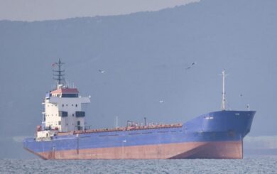 Україна в ході Дунайської операції затримала судно з Камеруну, що заходило у порт Криму