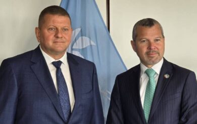 Посол України Залужний обговорив із Генсеком Міжнародної морської організації безпеку зернових коридорів