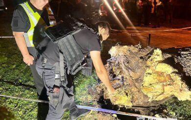 Внаслідок падіння дерева у столичному парку Шевченка загинула людина