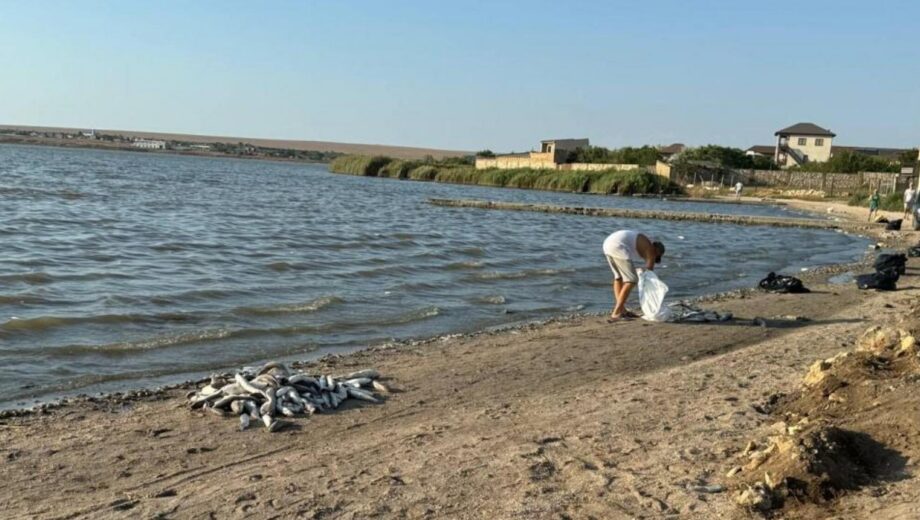Аномальная жара в Крыму повлекла за собой массовую гибель рыбы в море и пресных водоемах