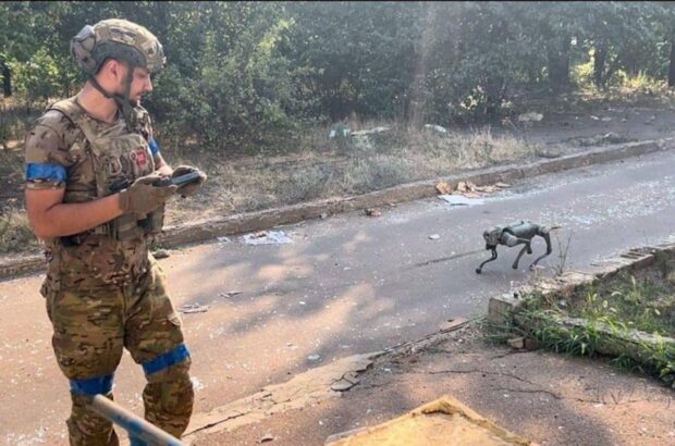 Робопси на передовій: ЗСУ використовують собак-роботів для розвідки та виявлення мін на Донеччині