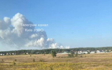 Пожары в Вышгородском районе: киевляне могут почувствовать ухудшение здоровья