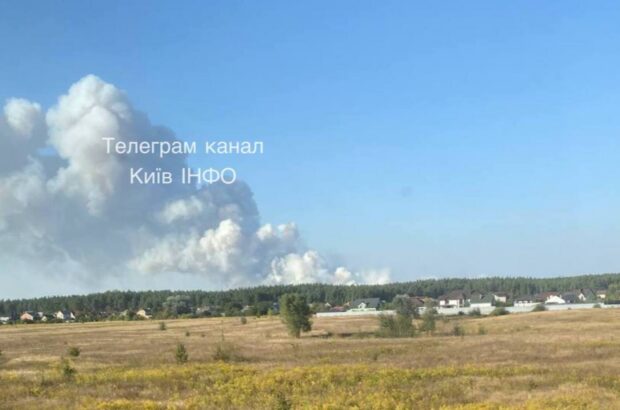 Пожежі у Вишгородському районі: кияни можуть відчути погіршення здоров’я