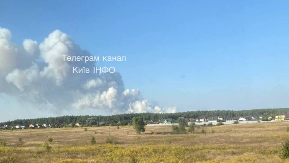 Пожежі у Вишгородському районі: кияни можуть відчути погіршення здоров’я