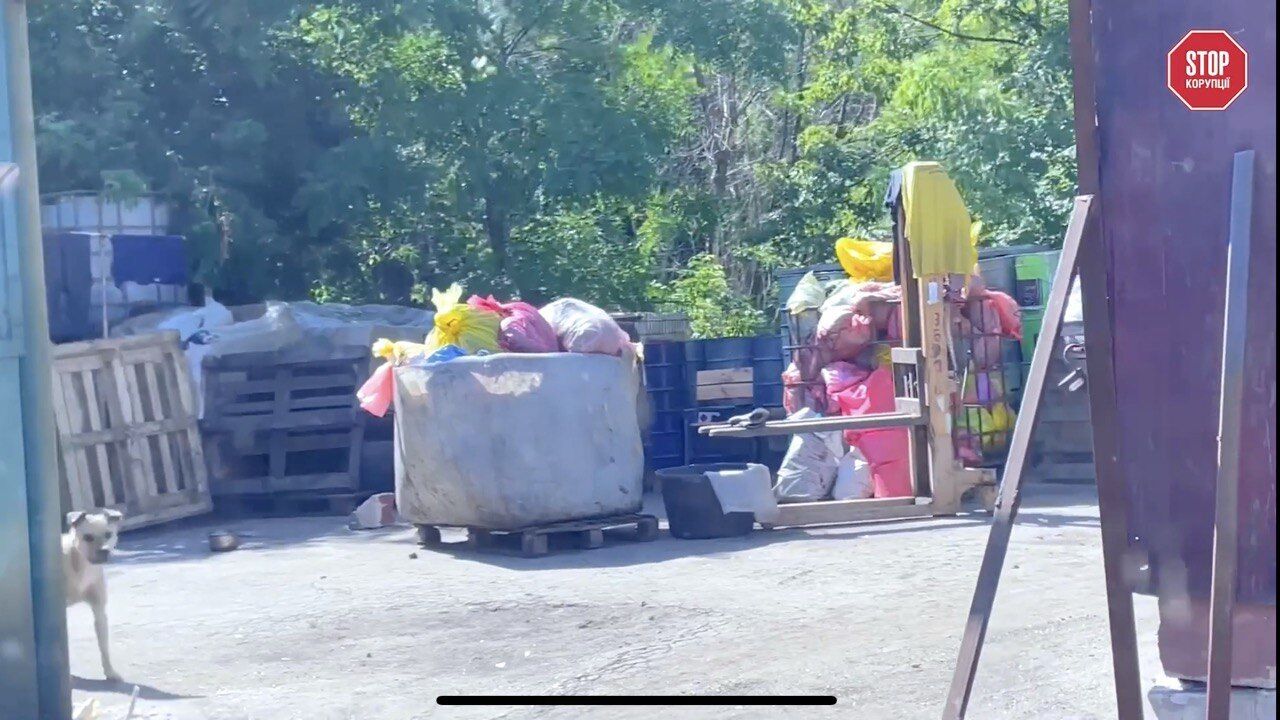 У дворі пакети зі сміттям
