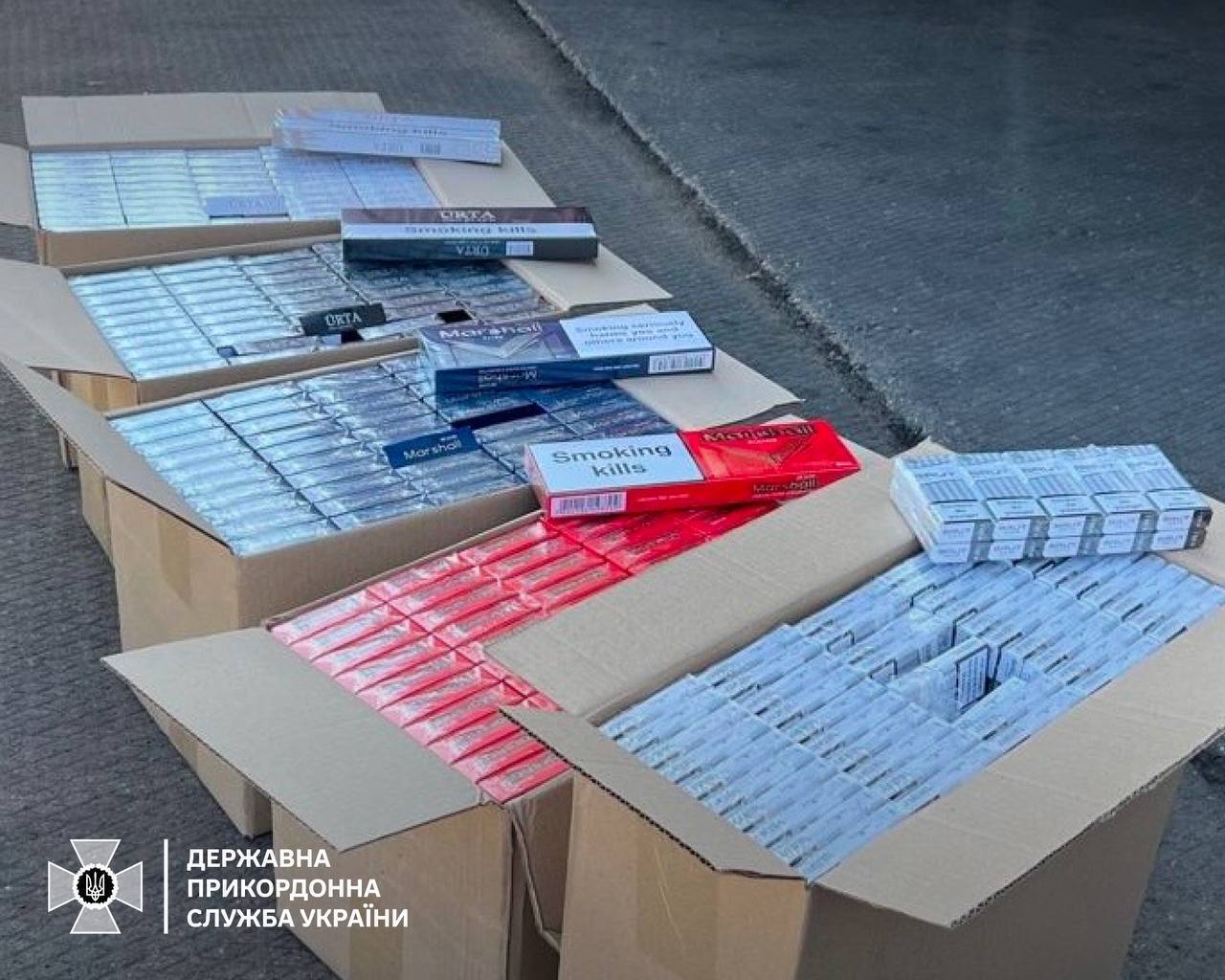 Збитків на 165 мільйонів гривень: в Одеському порту прикордонники викрили контрабанду цигарок
