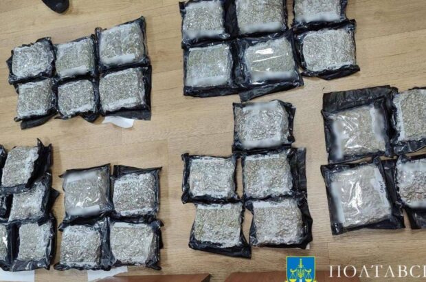 Викрито міжнародний канал контрабанди наркотиків: вилучено 20 кг канабісу