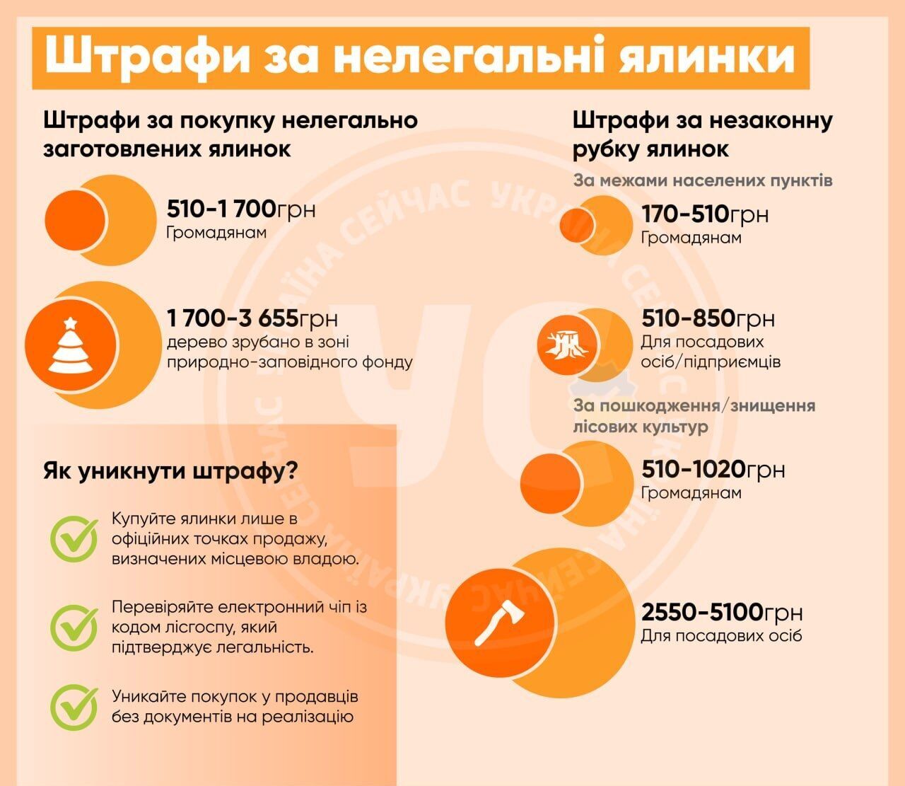 Штрафи за ялинки: скільки заплатять українці за незаконну купівлю чи продаж