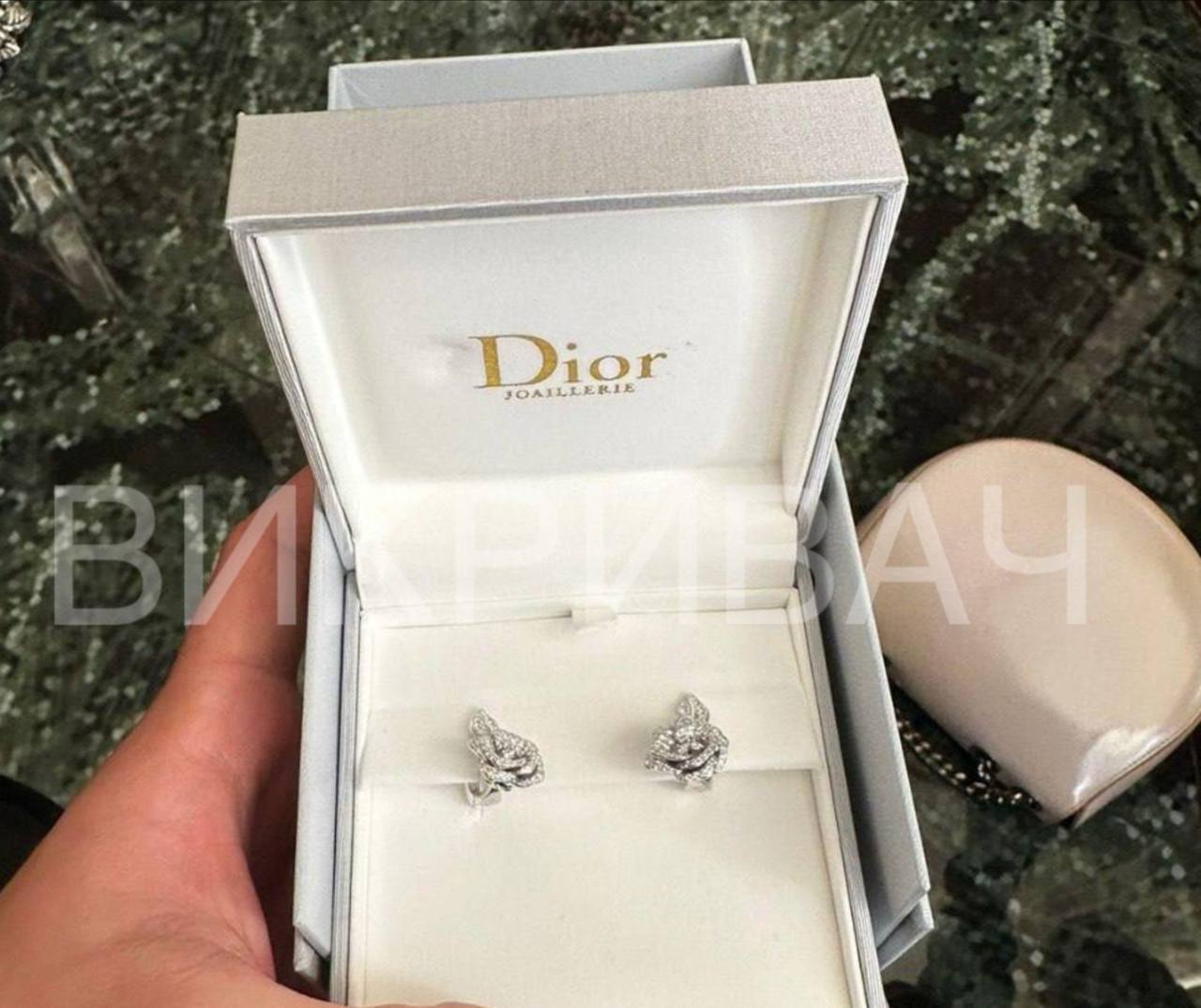 Часы Rolex, серьги Dior и миллионы наличными — новые детали дела Татьяны Крупы