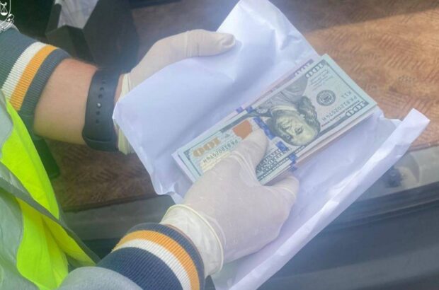 В Киевской области задержан чиновник при попытке дать взятку за влияние на решение ВЛК