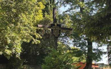 Українсько-польська експедиція шукає останки воїнів, полеглих в обороні Львова