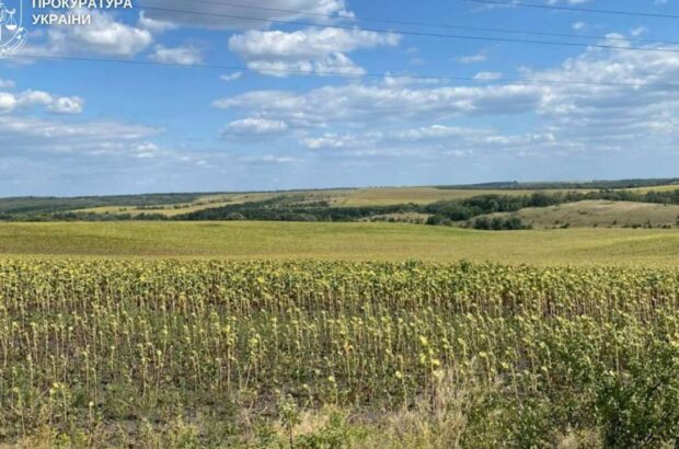 Суд задовольнив позови прокуратури: землі вартістю 27 млн грн повернуто громадам