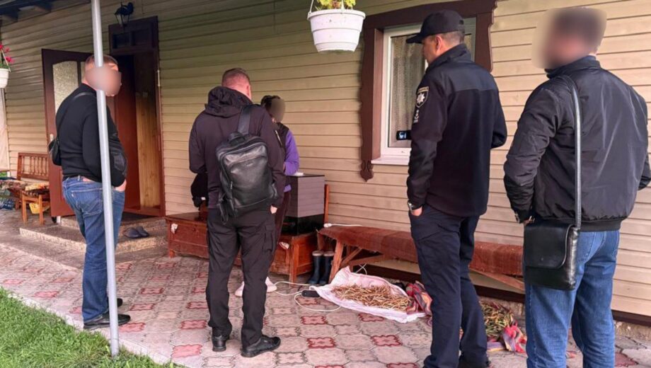 4,29 га государственной земли в Карпатах пытались присвоить через поддельные документы