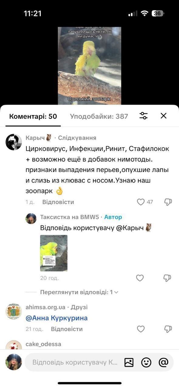 Зооволонтер Андрей (Карич) о состоянии попугаев в зоопарке
