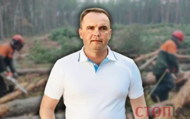 Кто »пилит» леса Украины? СтопКор работает над расследованием коррупции в лесной сфере