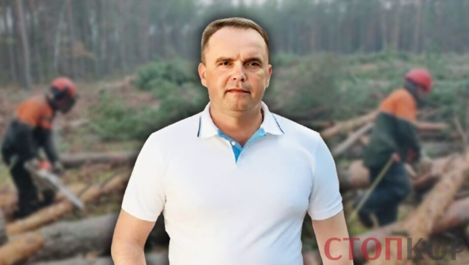 Кто »пилит» леса Украины? СтопКор работает над расследованием коррупции в лесной сфере