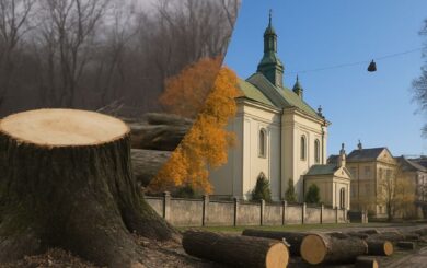 Мур ціною скверу? У Львові активісти б’ють на сполох через вирубку дерев біля костелу св. Антонія