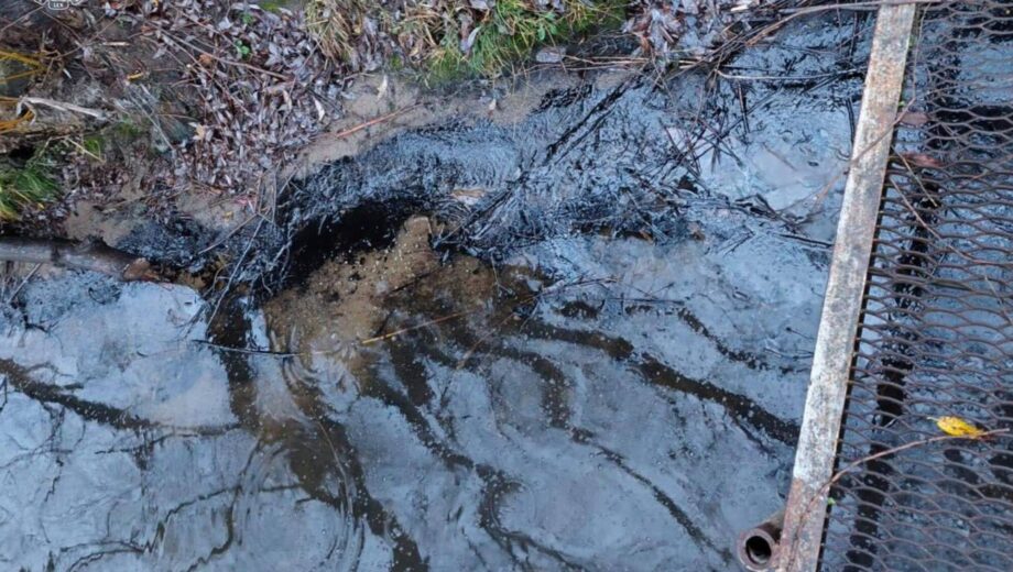 Ладижинська ТЕС під слідством через забруднення річки мазутом