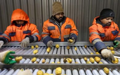 Московские предприятия ищут рабочих в Индии из-за нехватки кадров из Центральной Азии