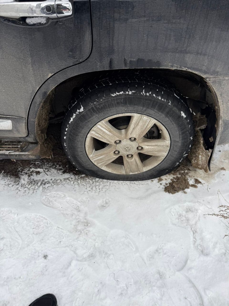 Бывшему мэру Кицманя Сергею Булезе ночью повредили авто: возбуждено уголовное производство