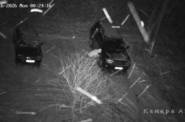 Бывшему мэру Кицманя Сергею Булезе ночью повредили авто: возбуждено уголовное производство
