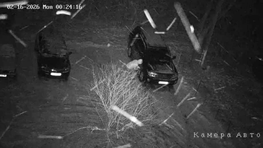 Бывшему мэру Кицманя Сергею Булезе ночью повредили авто: возбуждено уголовное производство