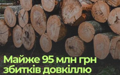 Тисячі знищених дерев у регіонах: посадовців і лісокористувачів судитимуть