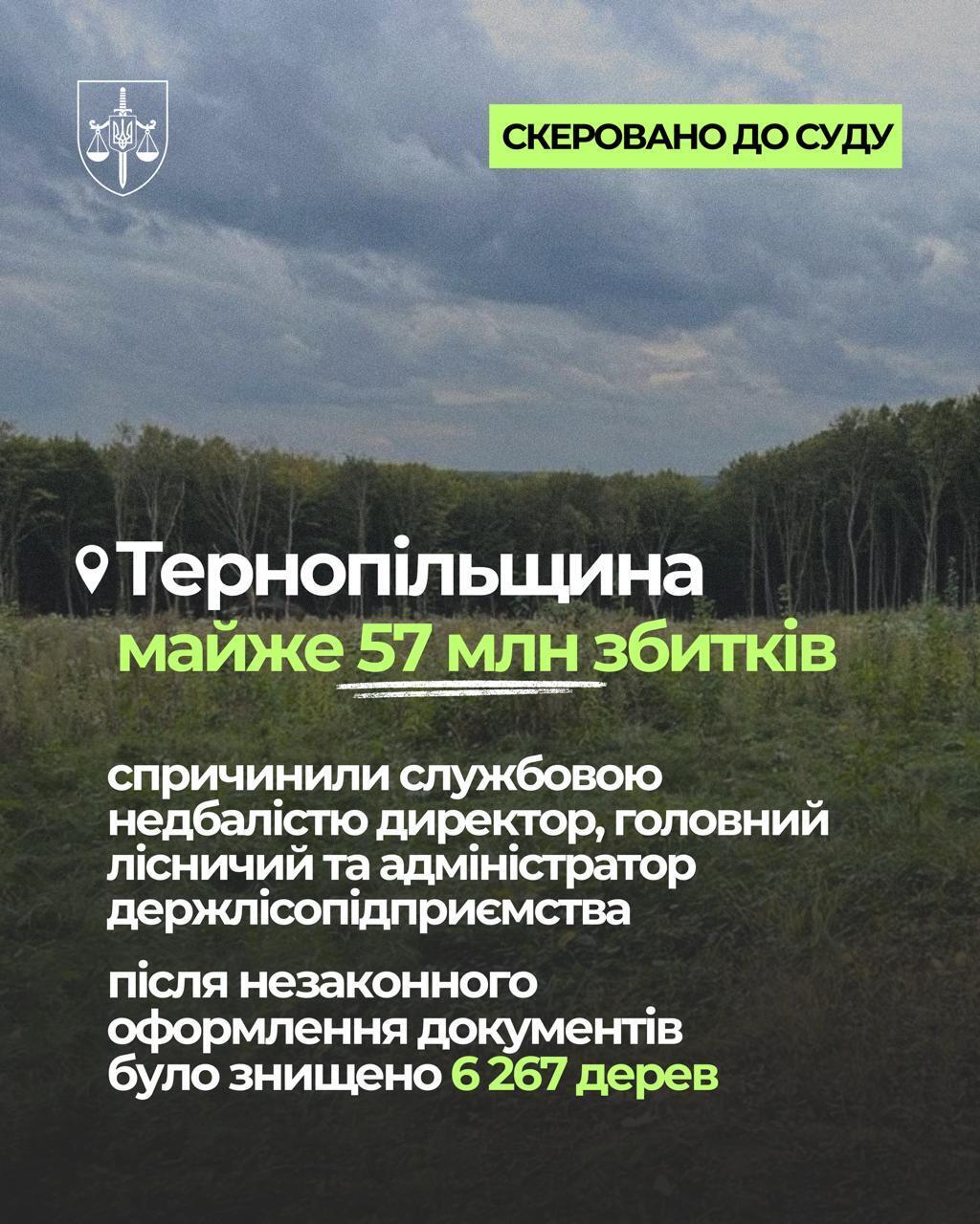 Почти 95 млн грн убытков: экопрокуратура передает в суд дела по незаконным рубкам