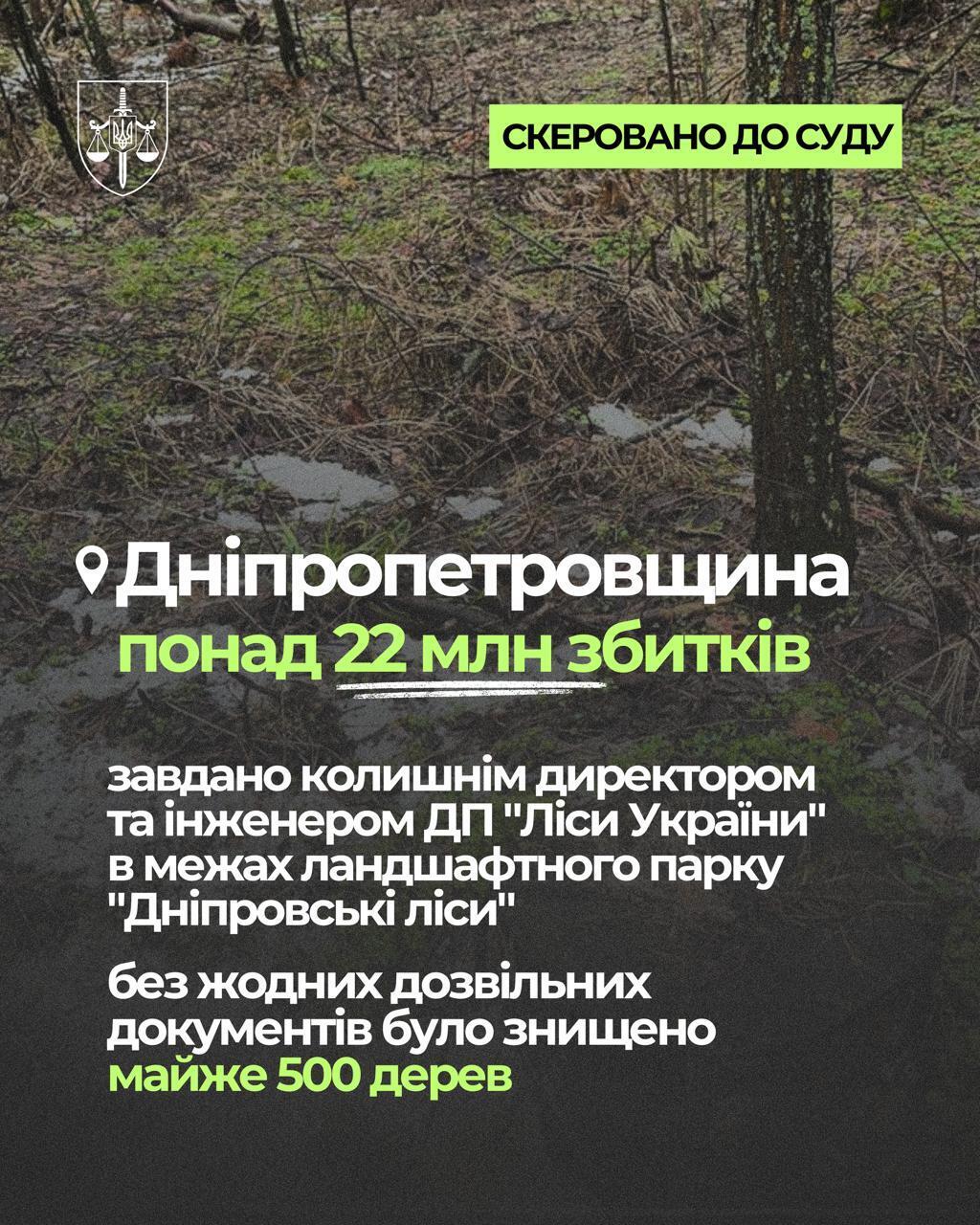 Почти 95 млн грн убытков: экопрокуратура передает в суд дела по незаконным рубкам
